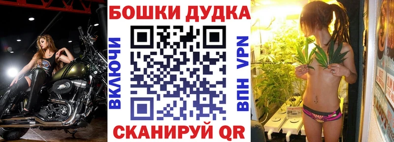 цена наркотик  Салехард  Шишки марихуана сатива 